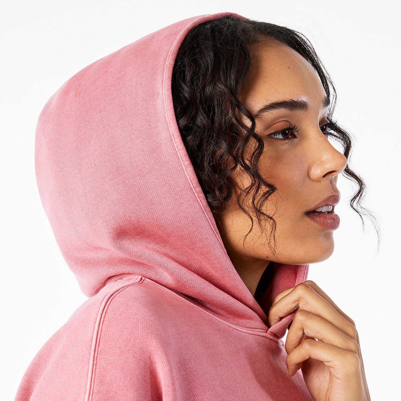Hayden Vintage Wash Cropped Hoodie Sweatshirt - Berrywood