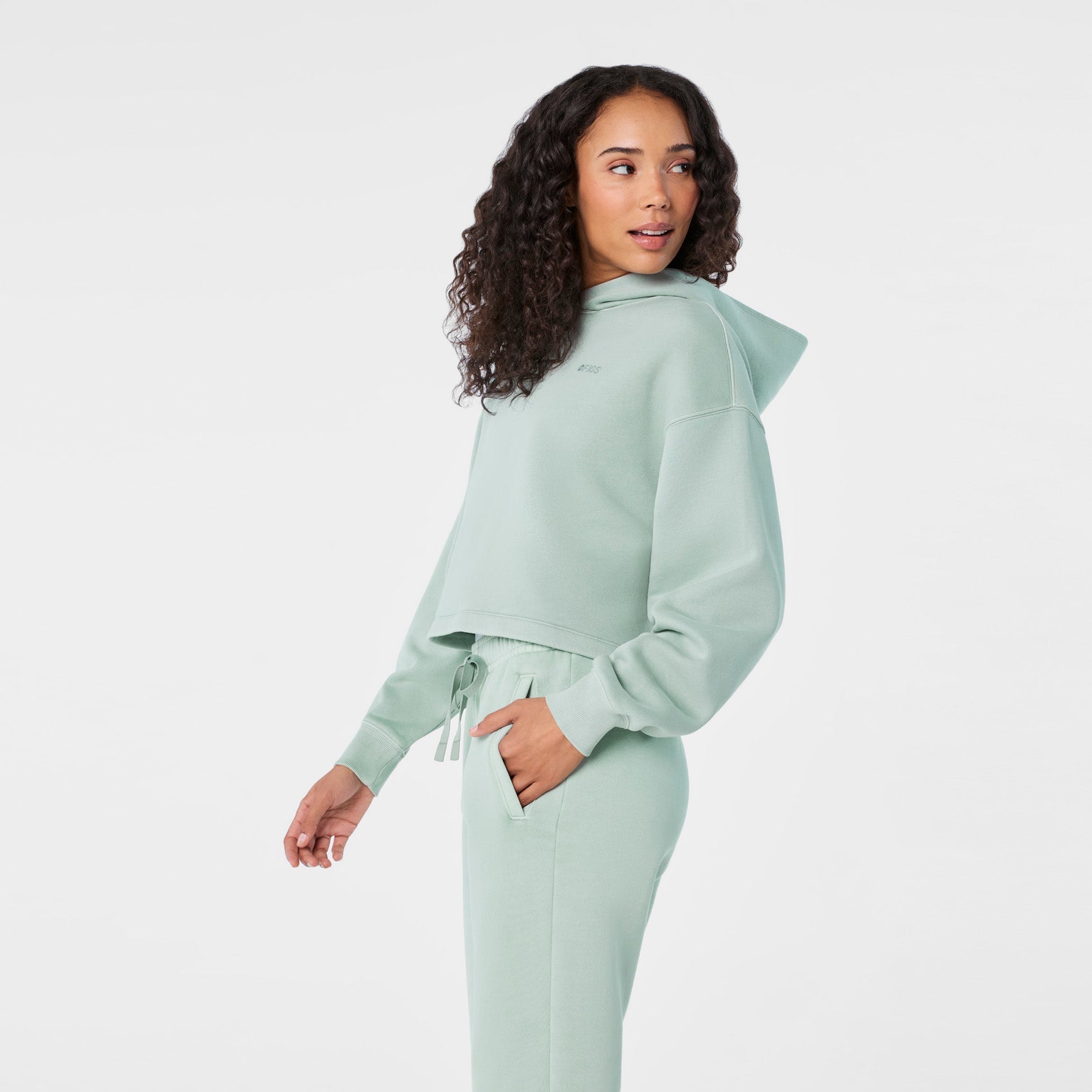 Hayden Vintage Wash Cropped Hoodie Sweatshirt - Soft Sage